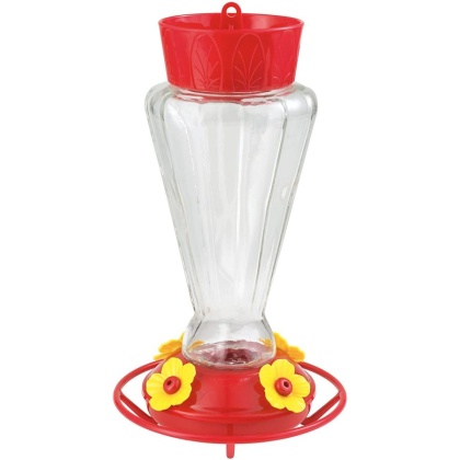 More Birds Royal Glass Hummingbird Feeder