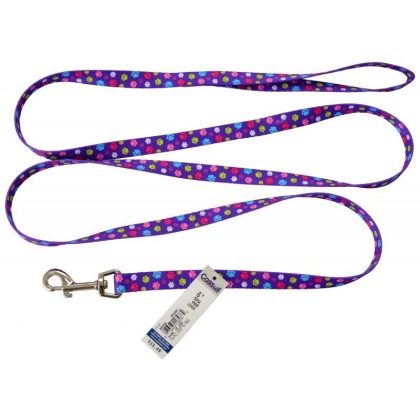 Pet Attire Styles Nylon Dog Leash - Special Paw