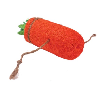 AE Cage Company Nibbles Carrot Loofah Chew Toy Large