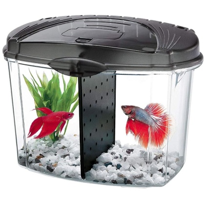 Aqueon Betta Bowl Starter Kit - Black