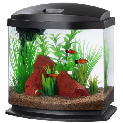 Aqueon LED MiniBow 2.5 SmartClean Aquarium Kit Black