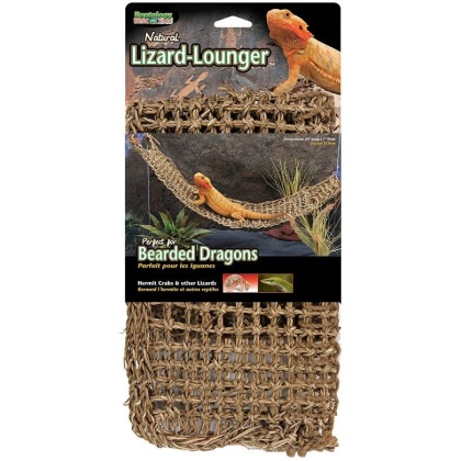 Penn Plax Reptology Natural Lizard Lounger