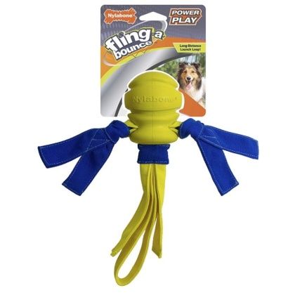 Nylabone Power Play Fling- a-Bounce Fetch 10\