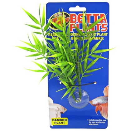 Zoo Med Aquatic Betta Plants - Bamboo