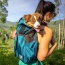 Harbor Blue - K9 Sport Sack Trainer - Small (13