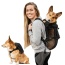 Anthracite Black - Walk-On with Harness & Storage - Medium (15-17